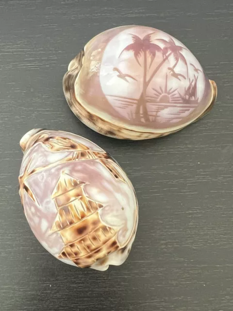 Pair of Hand Carved Cowrie Shells 2.5” and 3”