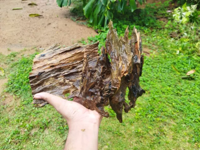 Driftwood Fish Tank Aquarium Landscape 100% Natural Wood Tree Trunk Deco