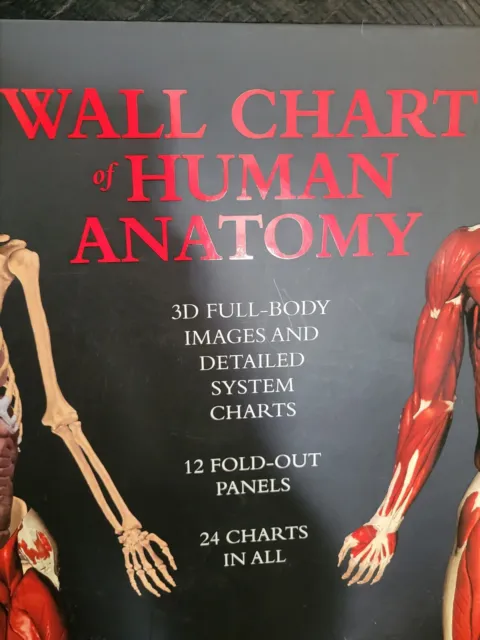 Wall Chart of Human Anatomy 3D Full Body Images 24 Charts 12 Fold Out Panels