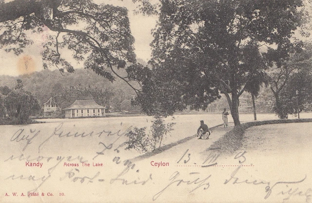 Ceylon: 1903: picture post card: Kandy to Naumburg/Germany