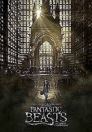 Fantastic Beasts and Where to Find Them DVD (2017) Eddie Redmayne, Yates (DIR)