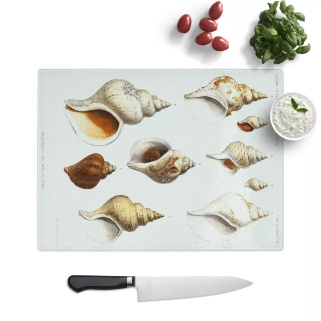 Conch Shells By Albert I Chopping Board Kitchen Glass Protector Worktop Saver