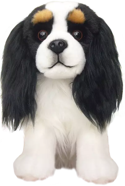 Faithful Amis Cavalier King Charles Spaniel Chien Tricolore 30.5cm Peluche Jouet