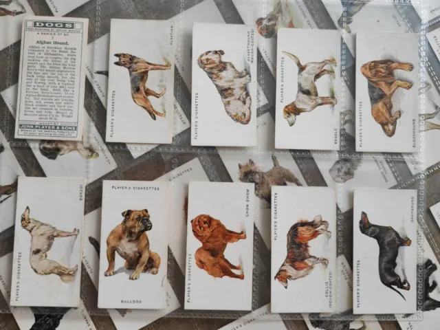 Dogs By Wardle, Full Length (John Player 1931) set of 50 Cigarette Cards