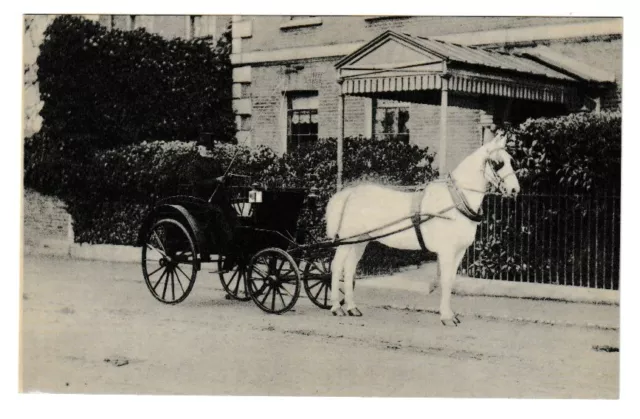 Horse Drawn Phaeton Streatley House Oxfordshire Postcard