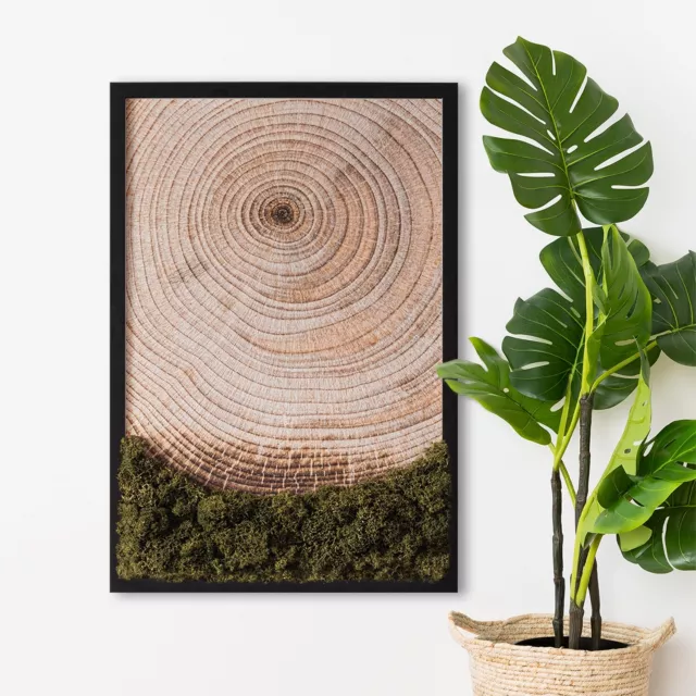 Immagine Muschio Foresta Muschio Cornice MDF nero 40x60 cm- Grana di legno