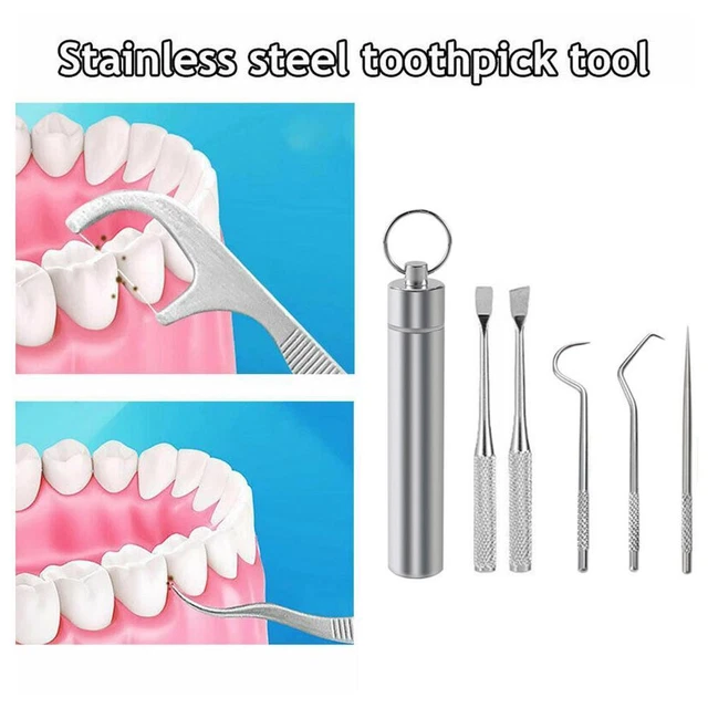 1 juego de palillos de dientes limpieza dental de metal acero con tubos de almacenamiento nuevo. J0O7
