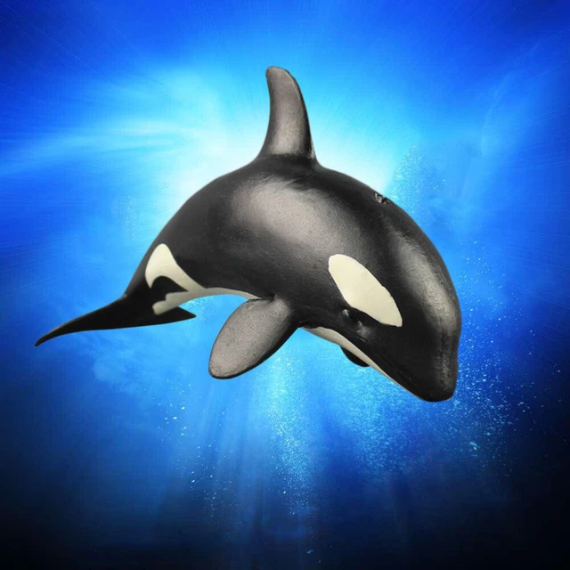 Haute Simulation Pygmée Killer Whale Model Animal Marine Organisme Décoration