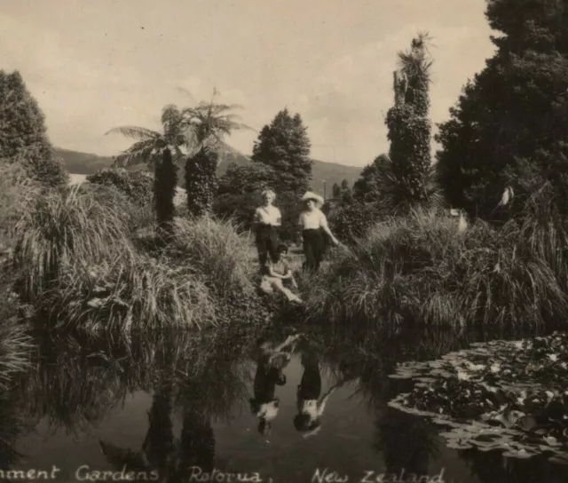 Real Photo Postcard RPPC Government Gardens Rotorua New Zealand old blank back