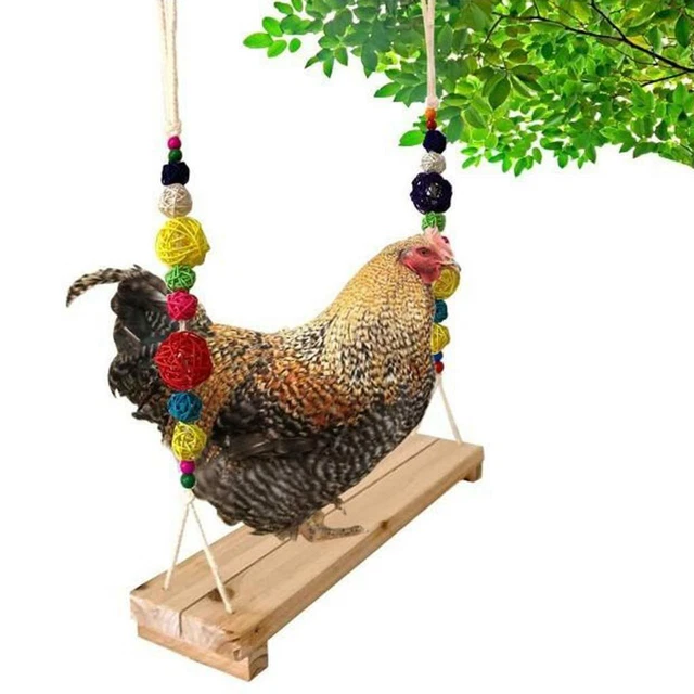 2x Hühnerschaukelleiter Holzvögel Barsch Huhn Hühner große Vögel Sittich