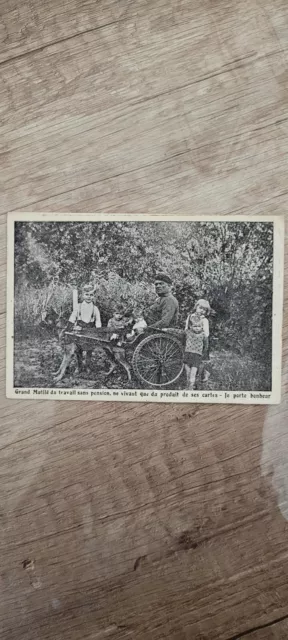Carte Postale Ancienne Attelage De Chiens Je Porte Bonheur