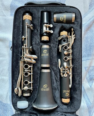 GEWA Cuscinetti Per Clarinetto Sib Tedesco 21 Chiavi In Pelle Bianca Gewa 730710 