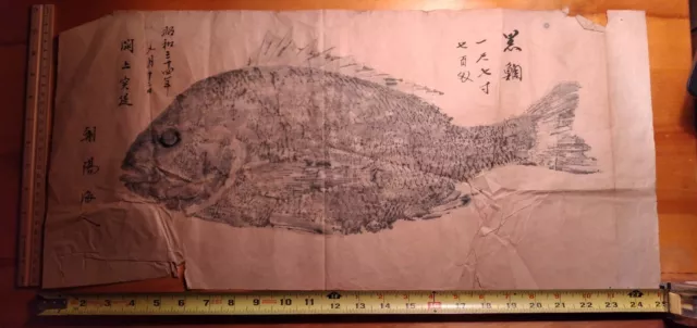 OLD GYOTAKU FISH art traditional Japanese art on Japanese paper $25.44 -  PicClick AU