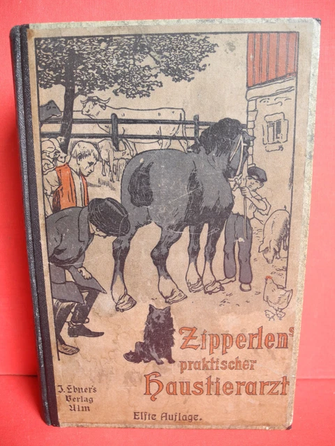 Tierarzt Veterinär Tiermedizin Haustierarzt Hufschmied Buch von 1920 Zipperlen