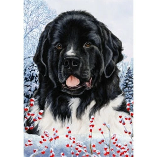 Winter House Flag - Landseer Newfoundland 15241
