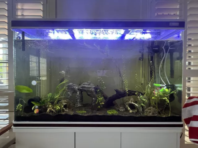 Complete 320L Fish Tank Setup