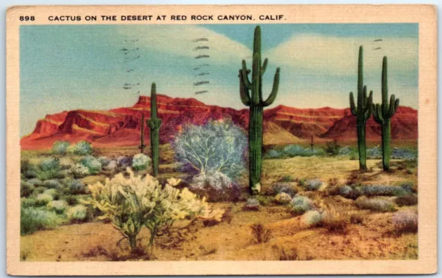 Postcard - Cactus on the Desert at Red Rock Canyon, California, USA