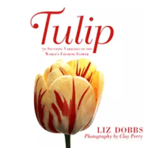 Tulip: 70 Stunning Varieties of the World's Favorite Flower by Liz Dobbs: Used