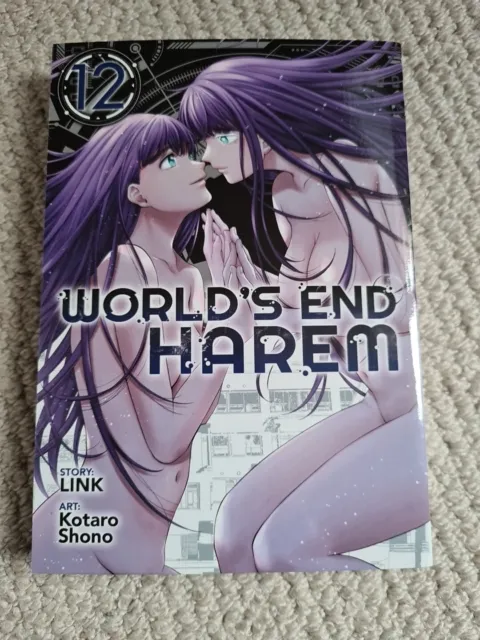 World's End Harem Vol. 10 (Paperback)