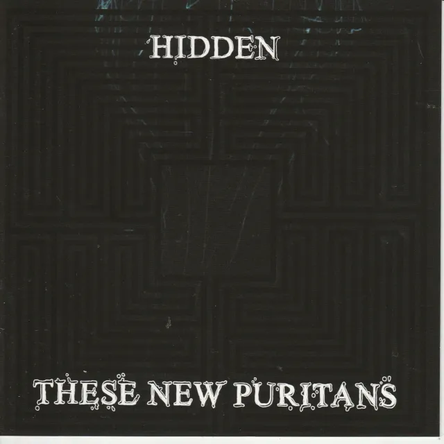 These New Puritans  HIDDEN   11trk cd