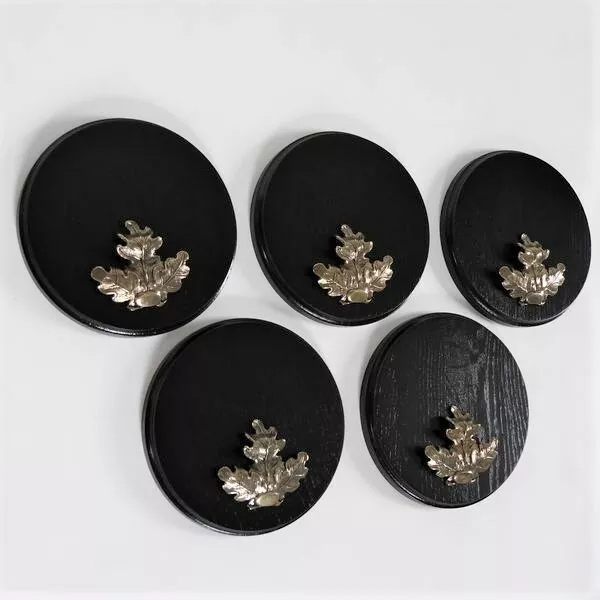 5 Pieza Keilerschilder Gewaffbrett Oscuro AF19cm Con 5 Hoja de Roble Grande