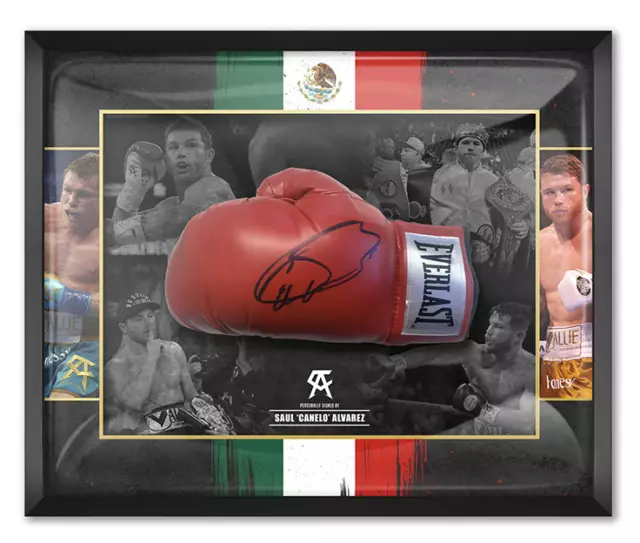 Canelo signed glove sales
