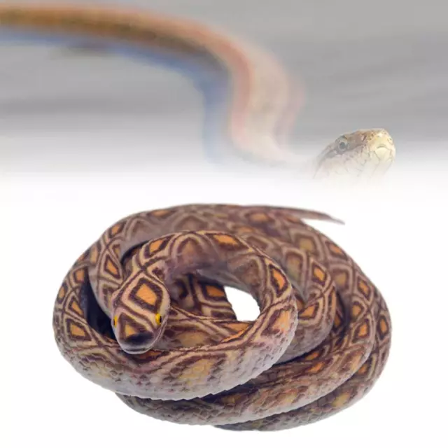 70CM FAKE LARGE Rubber Snake Realistic Lifelike Scare Prank Gag Gift ...