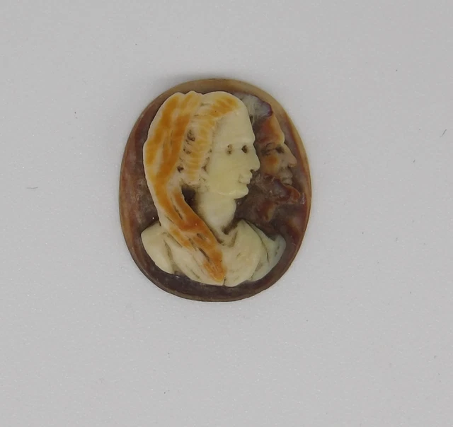 VINTAGE CAMÉE COQUILLAGE Profil à Sertir EUR 12,72