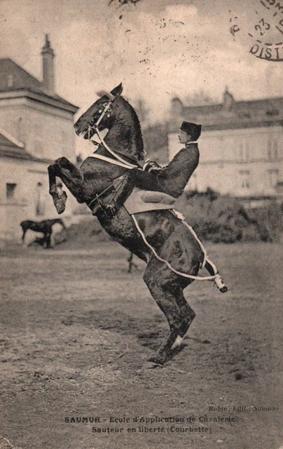 Photo Ancienne De Dressage De Cheval – Saumur – Liberté Et Croupade