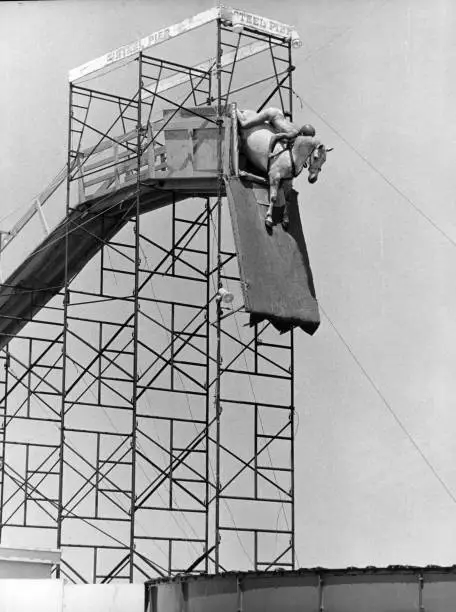 Diving Horse Attraction at the Steel Pier 1977 in Atlantic City, - Old Photo 5