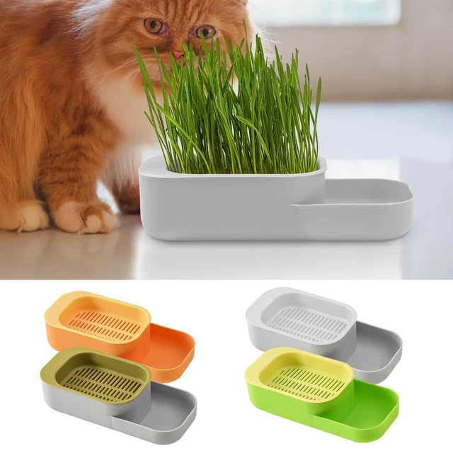 Cat Grass Planting Box Plant Growing Kit Hydroponic Cat Grass Soil Free Planter
