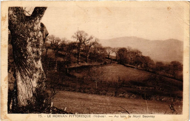 CPA Le MORVAN Pittoresque - Au loin le Mont Beuvray (456869)