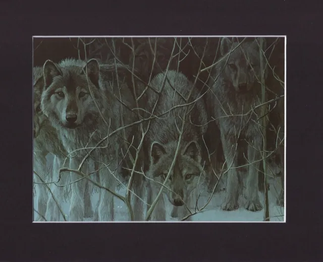 8X10" Matted Print Art Painting Picture, Robert Bateman: Wolves, Clear Night '81