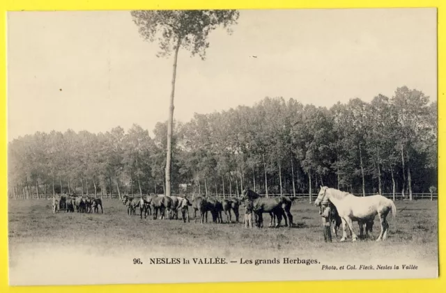 cpa 95 - NESLES the VALLEY Les Grands HERBAGES Horses Haras Horse riding Horse riding