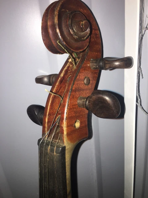 violin French