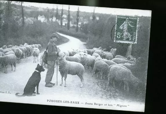 Pougues Les Eaux Le Berger