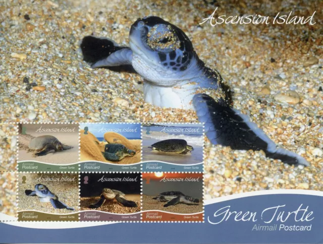 Ascension Island Turtles Stamps 2019 MNH Green Turtle R/P Reptiles 6v M/S