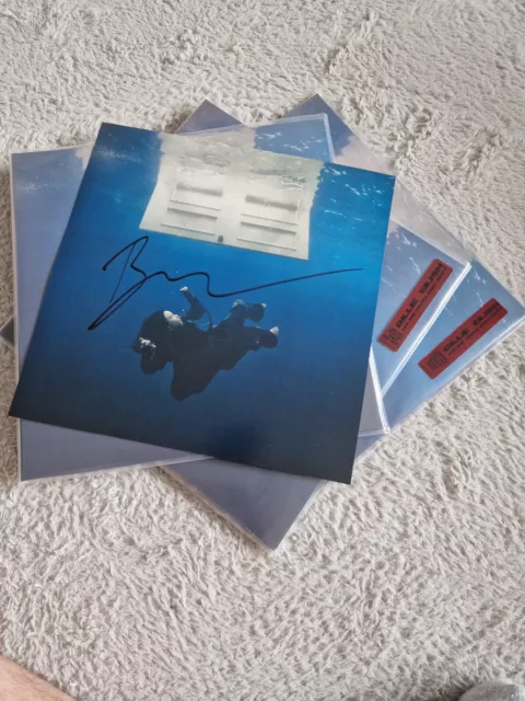 Hit me hard and soft promo vinyl
