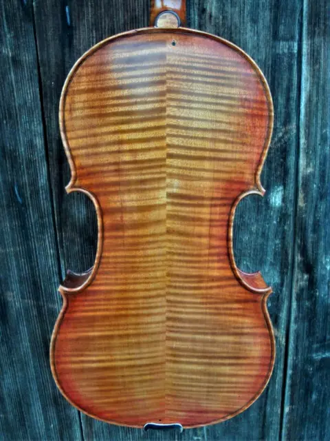 Old viola lab. "A. POGGI BOLOGNA 1969" - Viola / Bratsche