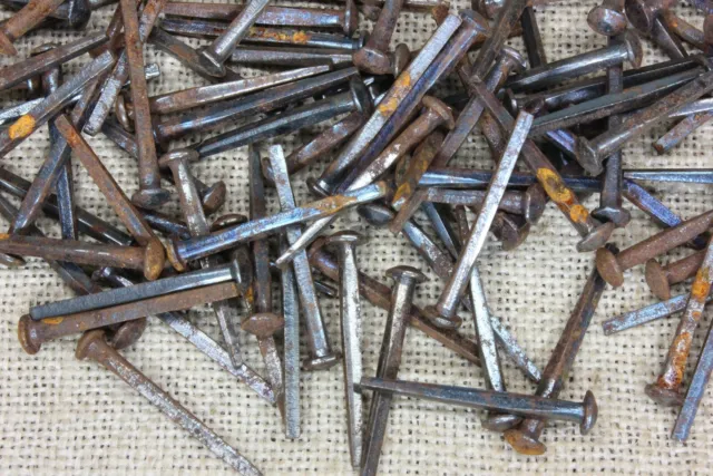 Old Button Rose 1 1/2” Square Nails Round Domed Head 100 In Lot Rustic Vintage 2