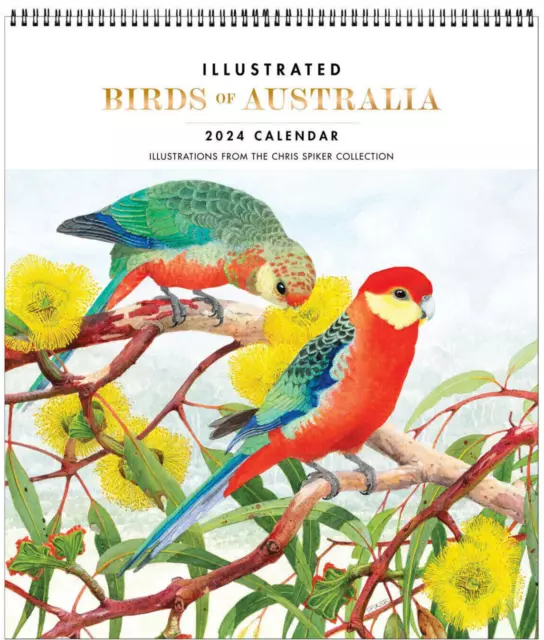 2024 CALENDAR ILLUSTRATED Birds of Australia Deluxe Wall Browntrout
