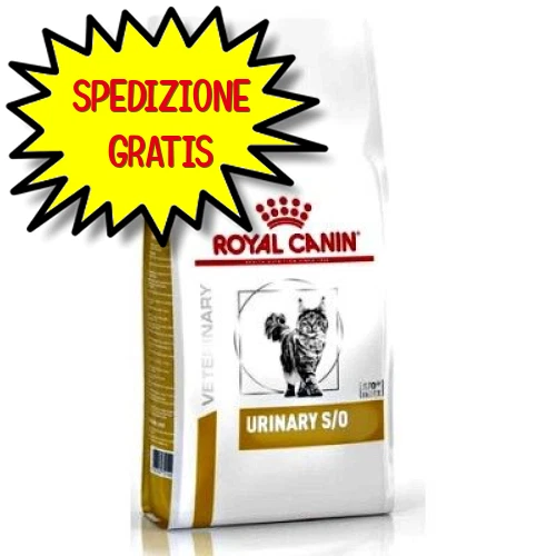 Urinary so best sale gatto