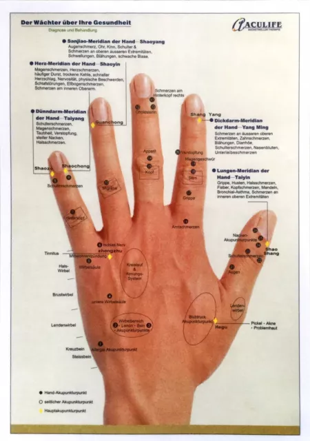 Aculife I-DOC Bio Magnetwellen Elektroakupunktur NEU OVP Deutsche Beschreibung 3