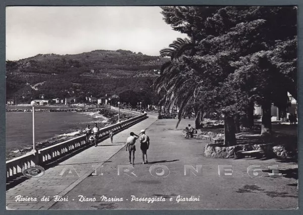 IMPERIA DIANO MARINA 40 GIARDINI Cartolina FOTOGRAFICA viaggiata 1955