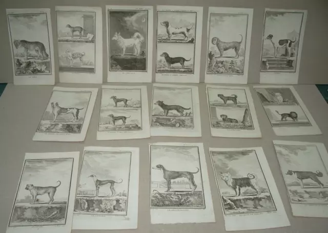 17 gravures de CHIENS ANIMAUX dessinés par de SEVE gravés par Baron etc 18ème