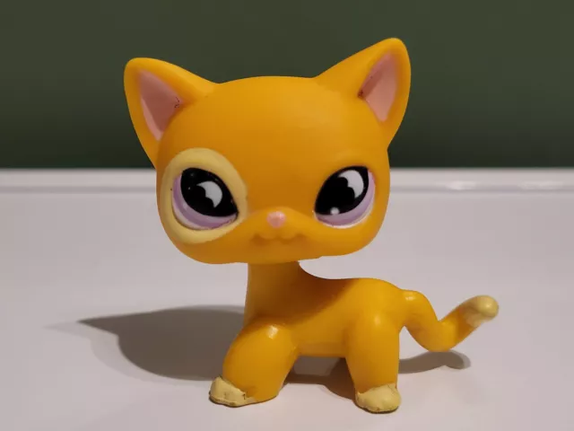 Lps #855 Littlest Petshop Original Authentic Chat Europeen European Cat Hasbro