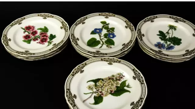 Andrea By Sadek Golden Botanical Set Of 4 8" Flower Motif Luncheon Plates