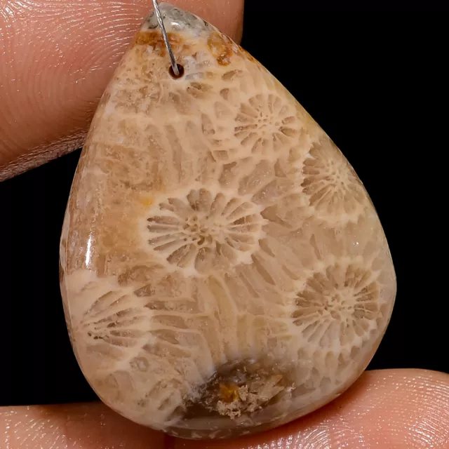 Natural Fossil Coral Pear Cabochon Drilled Loose Gemstone 32 Ct 31X23X6mm A28180