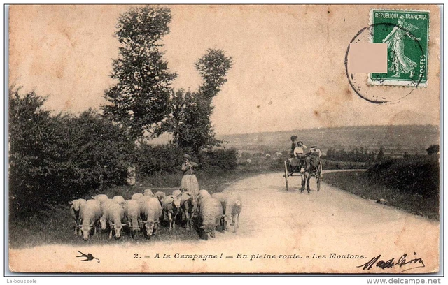 58 - a� la campagne, en pleine route - les moutons