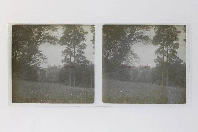 France Bois Photo Stereo P50L3n12 Glass Plate Vintage c1930